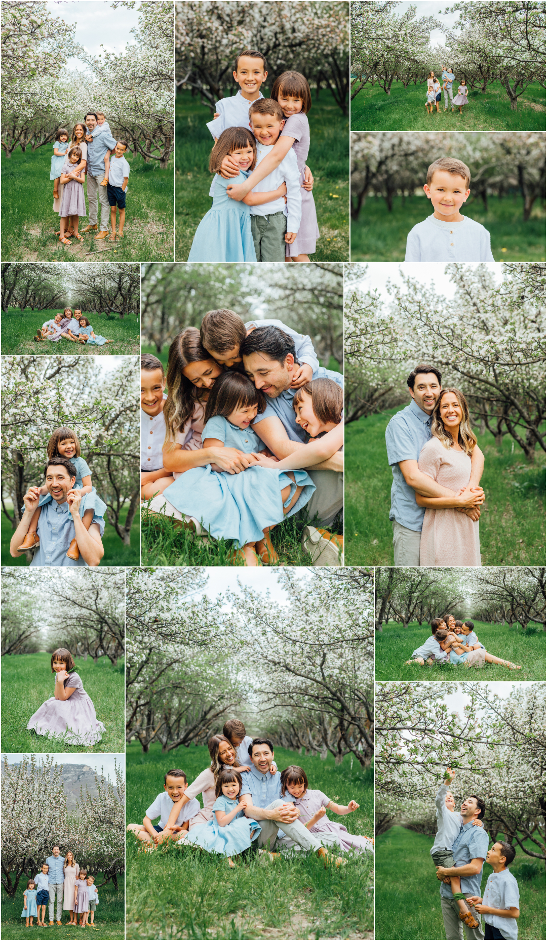 Provo Orchard in Utah Family Photographer