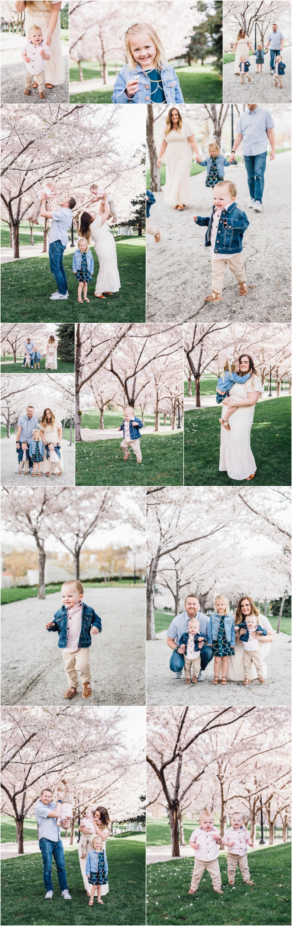 Utah State Capitol Cherry Blossoms Family Photographer