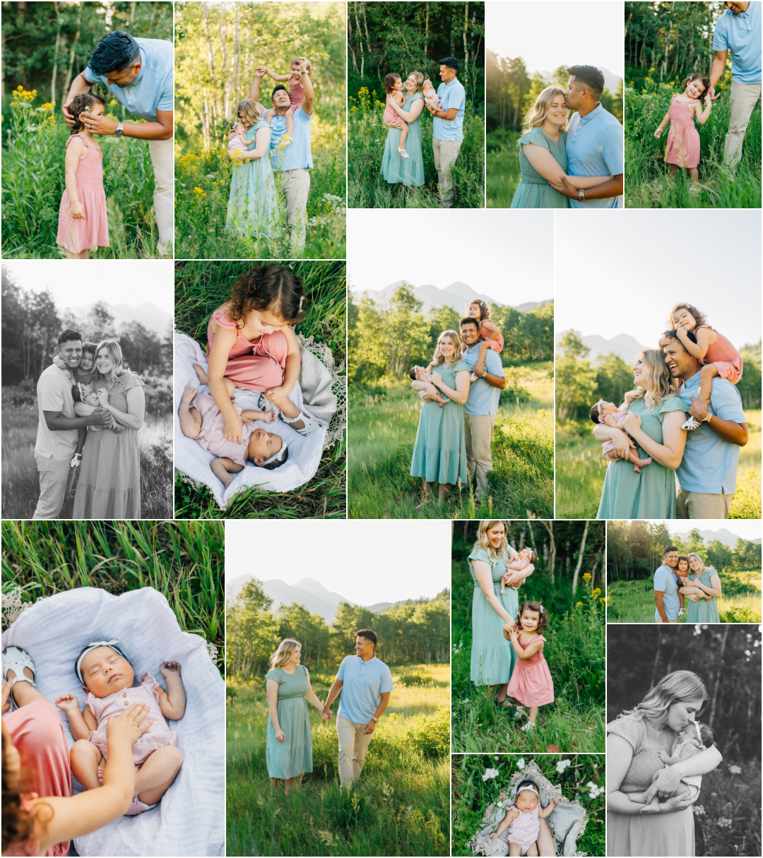 American Fork Wild Flowers - Utah Mini Session Photographer