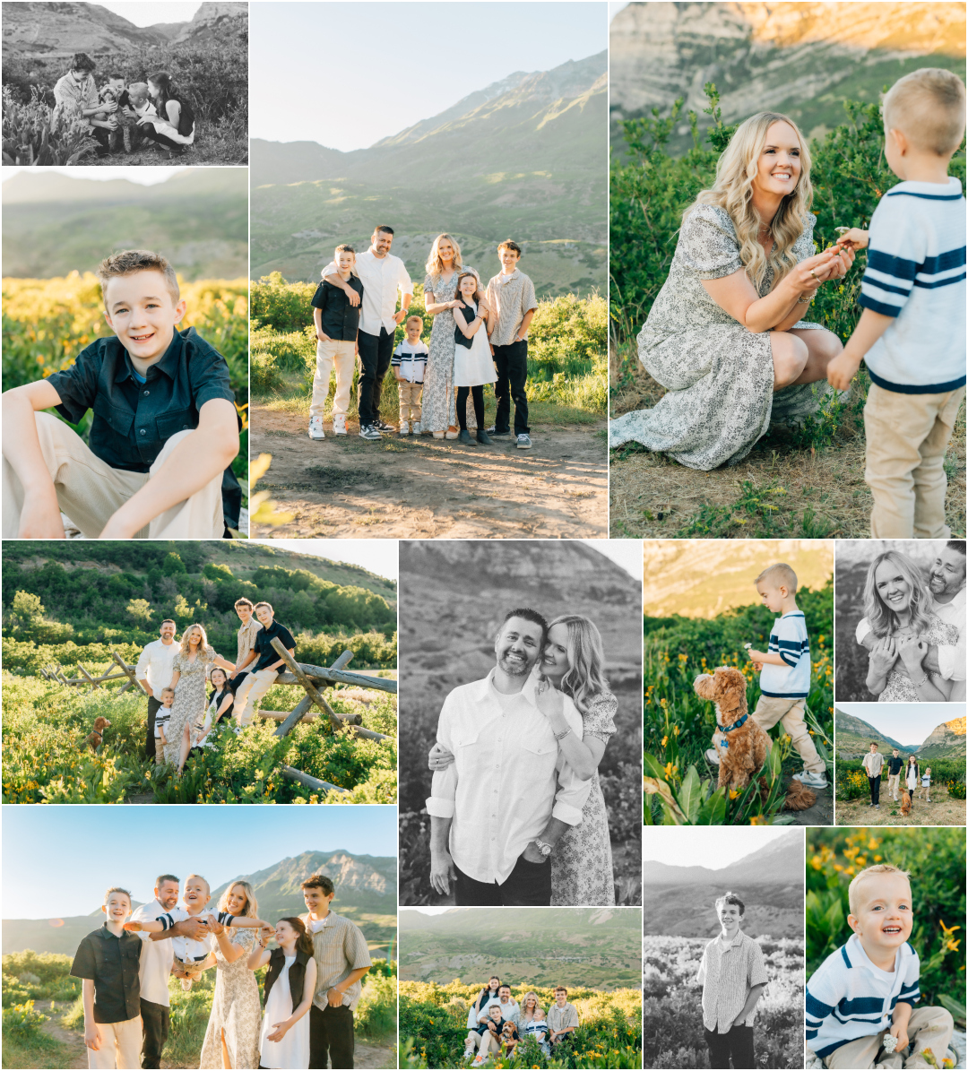 Full Family Photography Session - Provo Wild Flower Family Pictures