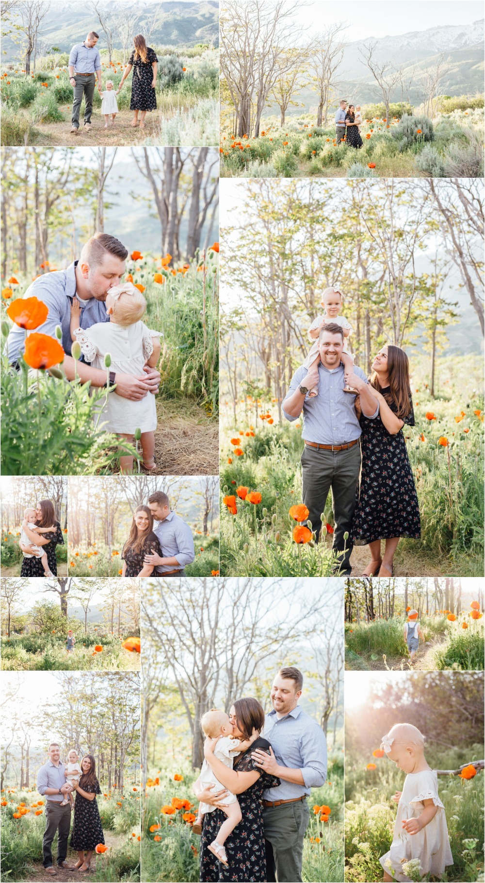 Alpine Poppy Field Family Photographer