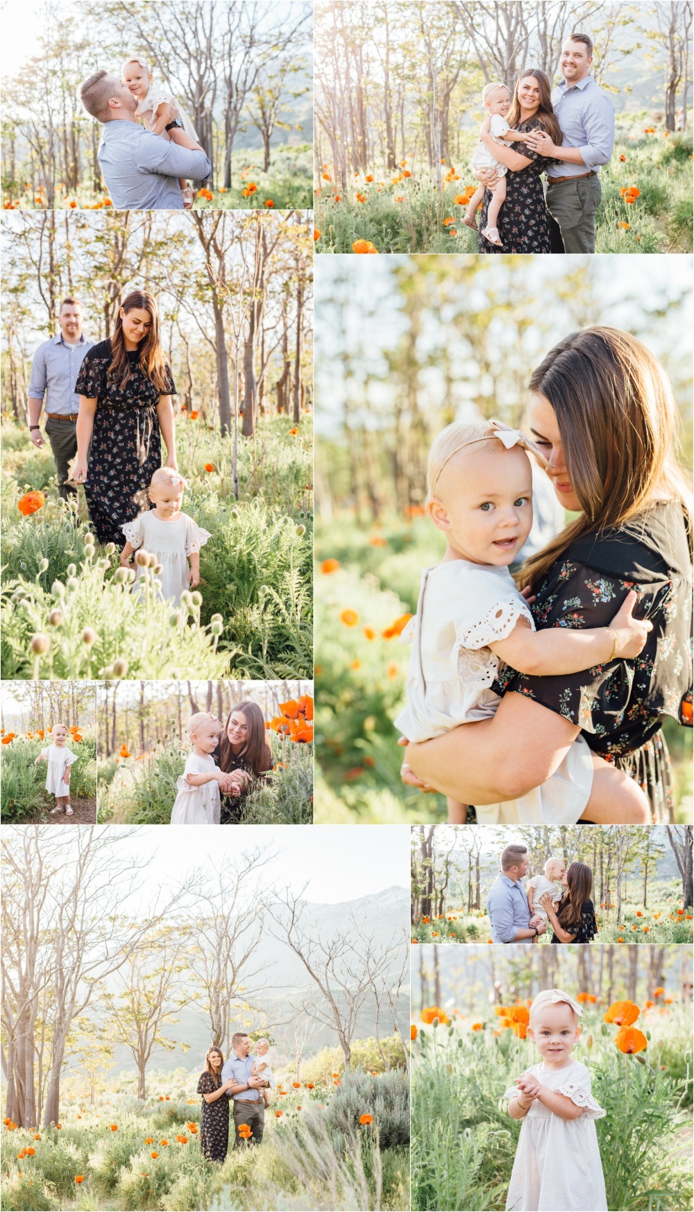 Alpine Poppy Field Family Photographer