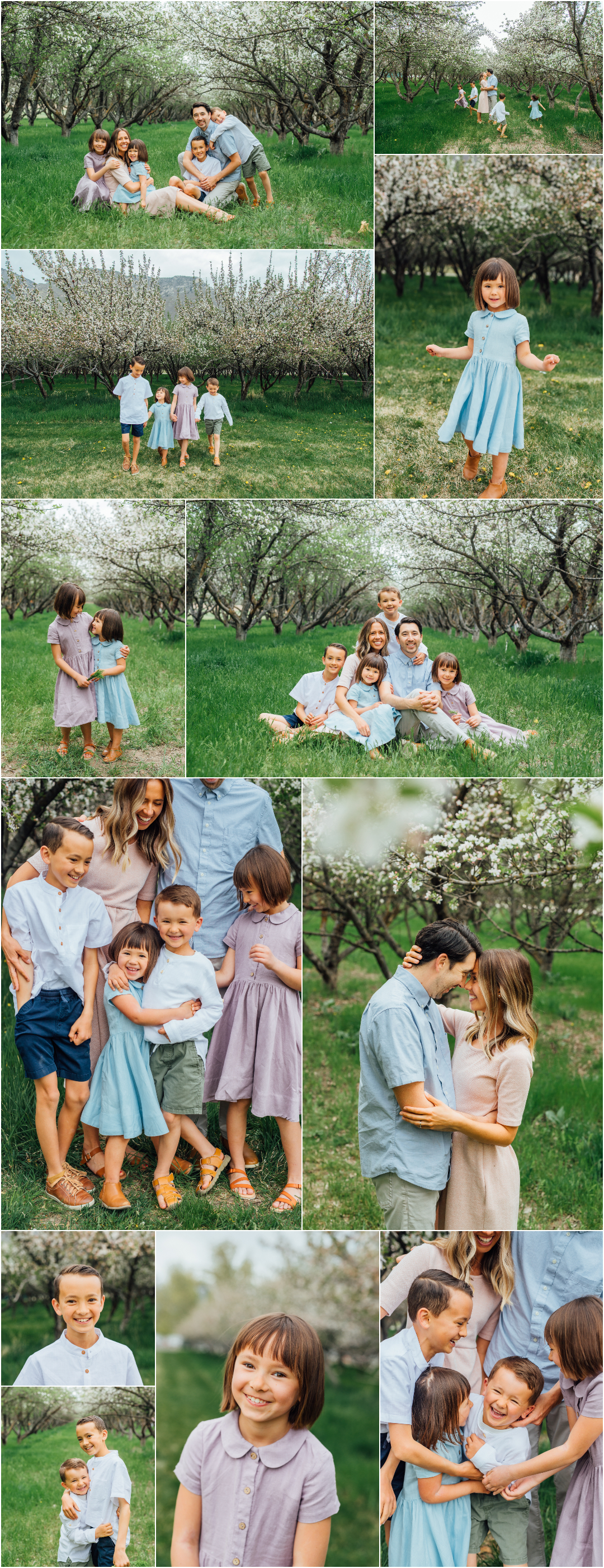 Provo utah Orchard Family Photographer