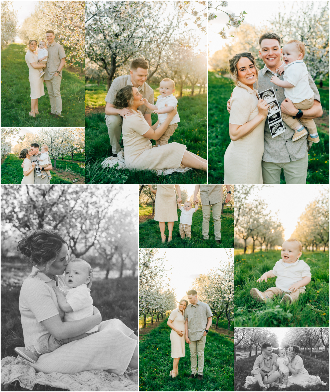Spring Family Photography in Utah - Santaquin Rowleys Red Barn Blossoms