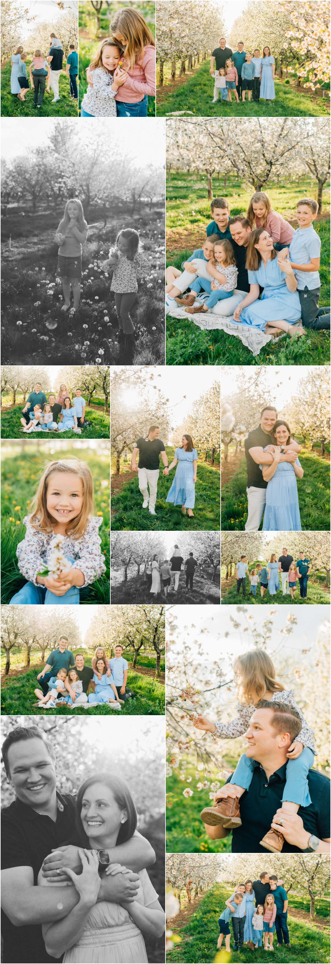 Family of 7 Photography - Utah County Spring Blossoms Photoshoot