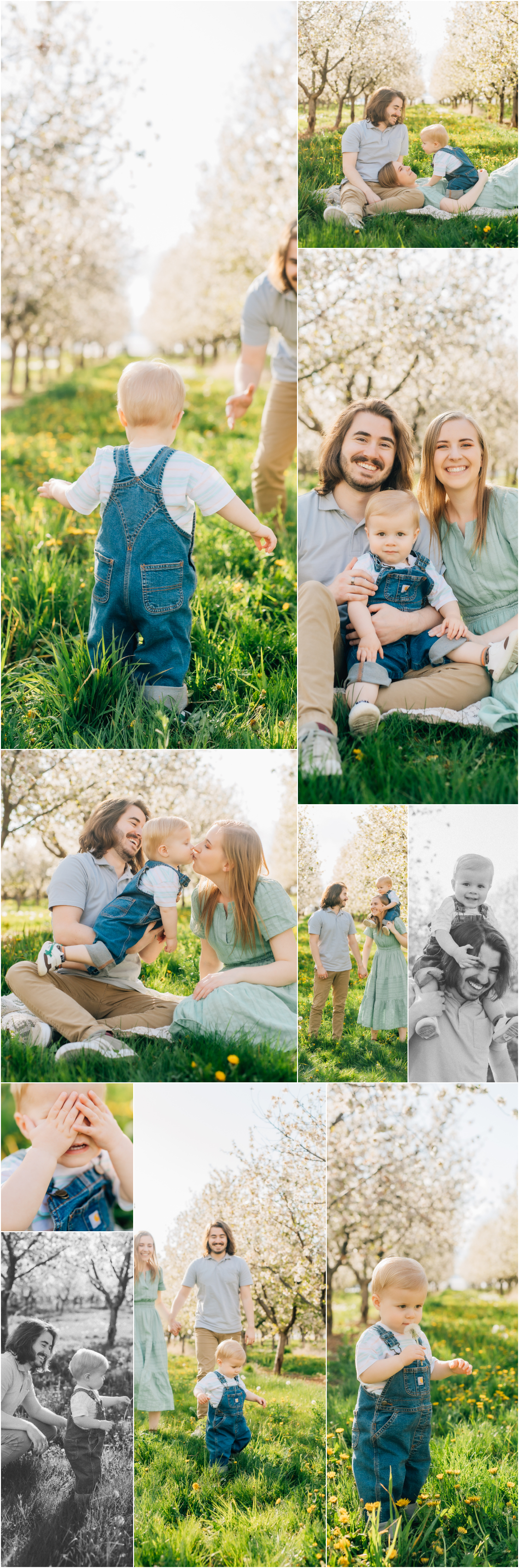 Spring Family Photography in Utah - Santaquin Rowleys Red Barn Blossoms