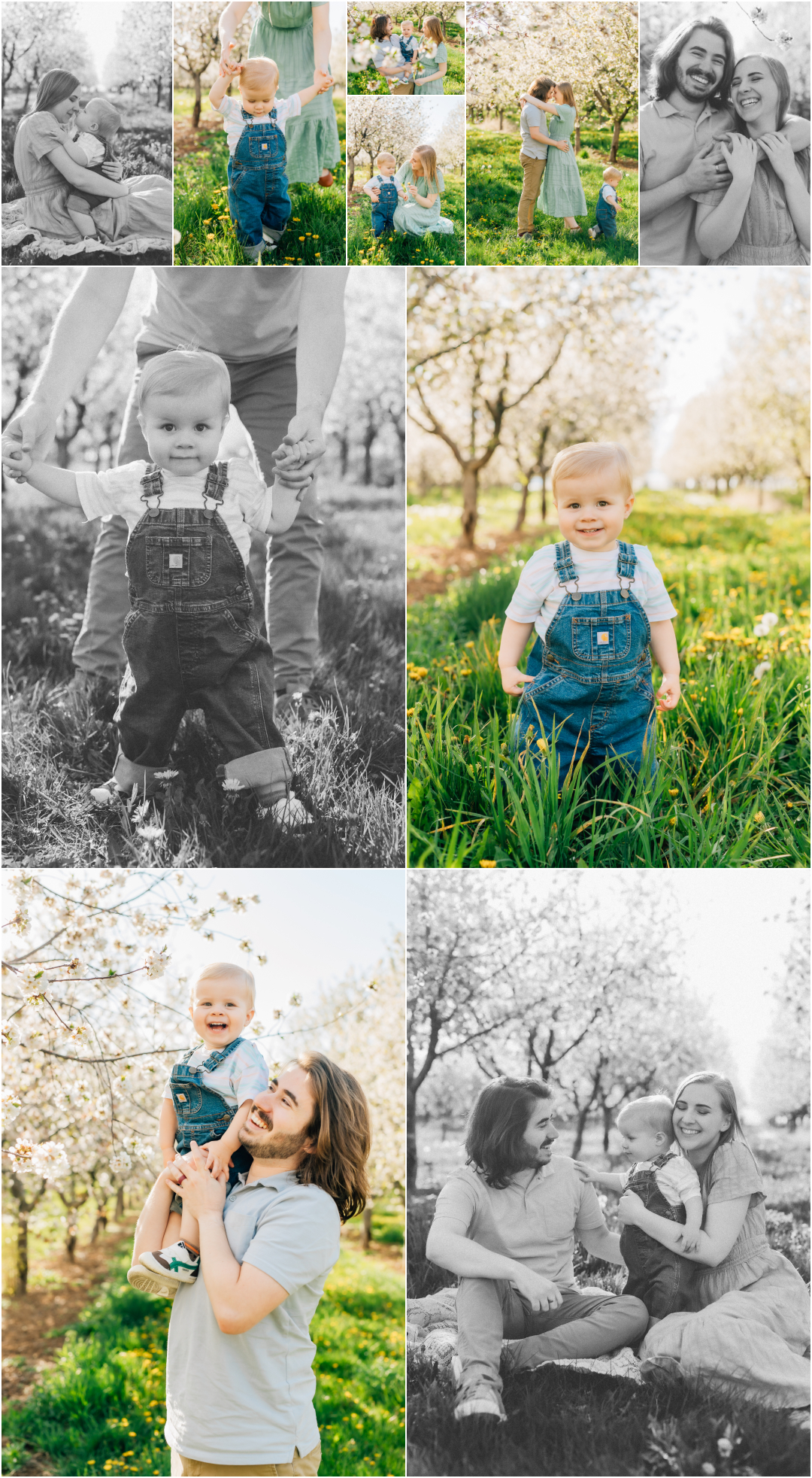 Spring Family Photography in Utah - Santaquin Rowleys Red Barn Blossoms
