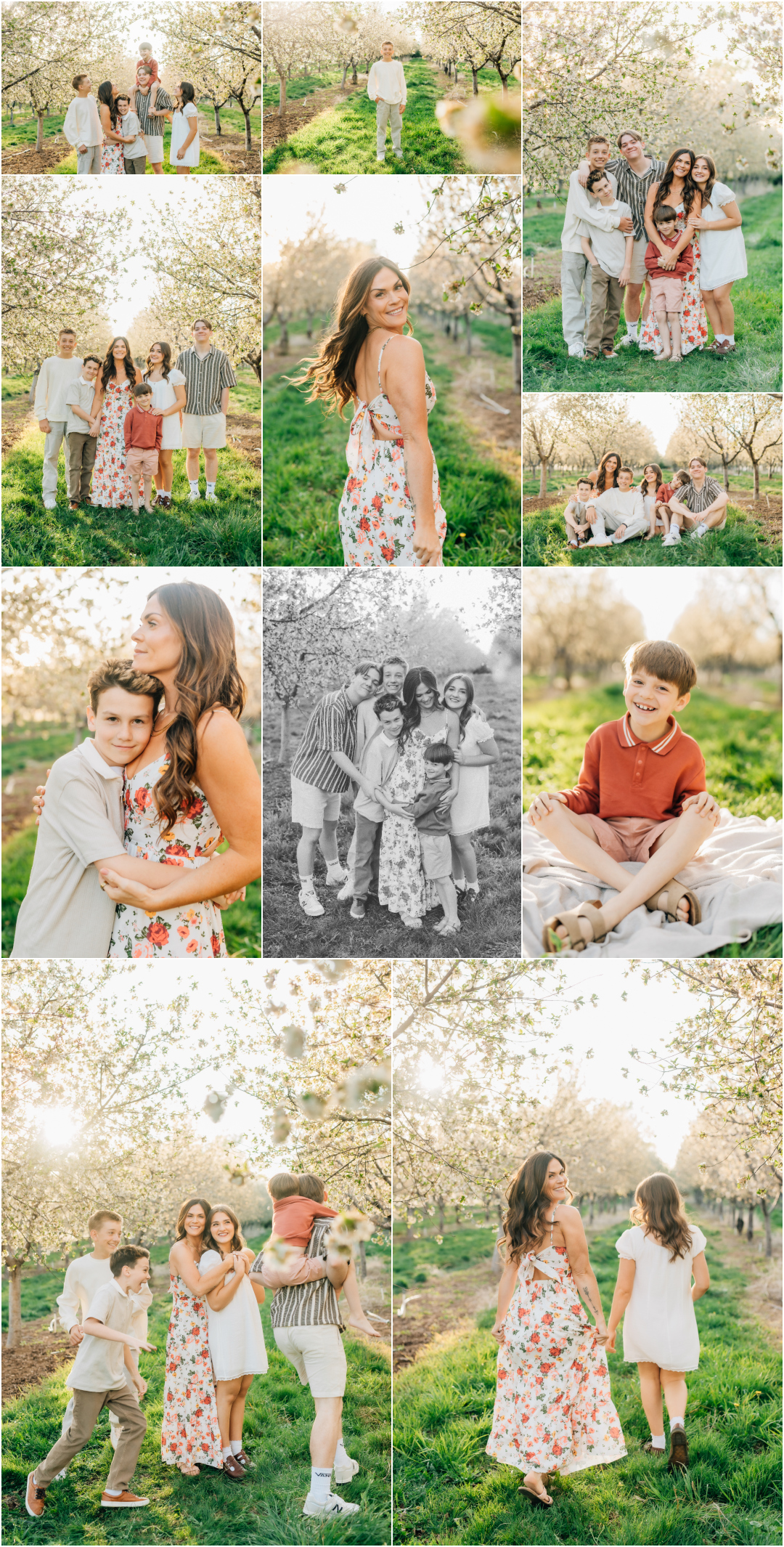 Spring Orchard Family Pictures - Single mom of 6 pictures