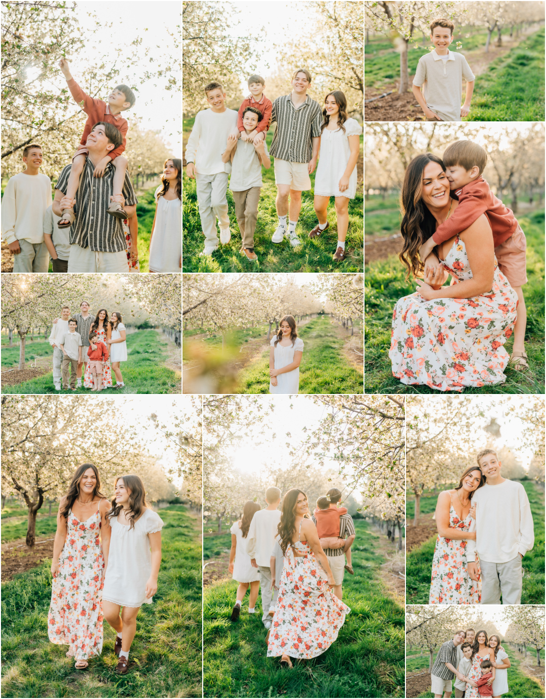 Spring Orchard Family Pictures - Single mom of 6 pictures