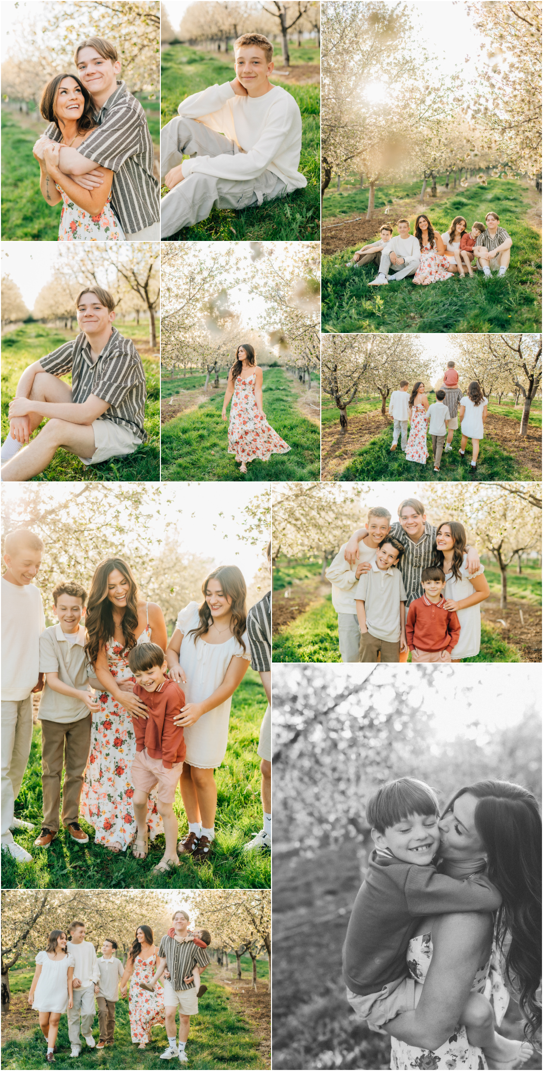 Spring Orchard Family Pictures - Single mom of 6 pictures