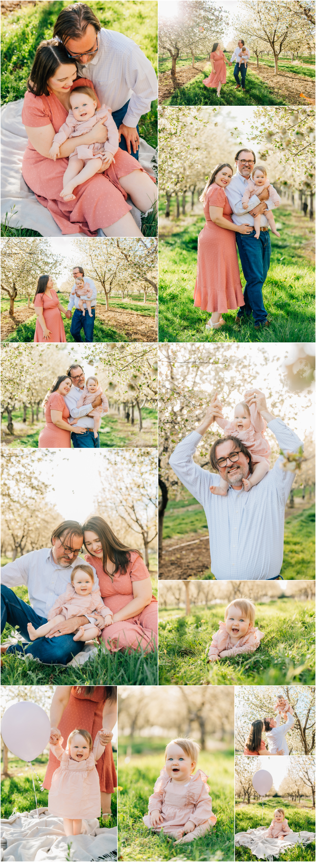 Rowleys Red Barn Spring Orchard Blossoms - Santaquin Utah Photographer