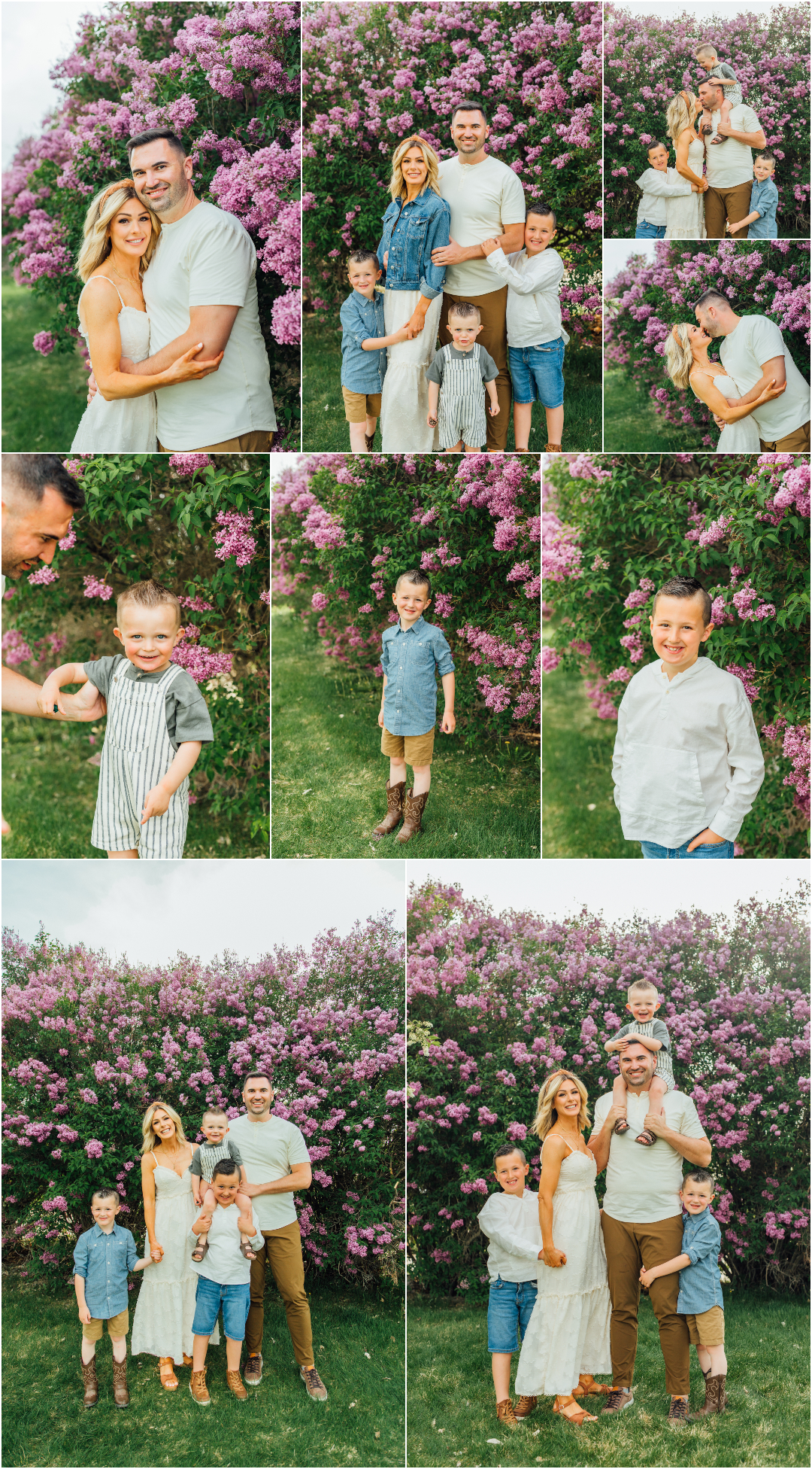 Spanish Fork Lilac Bushes Photographer