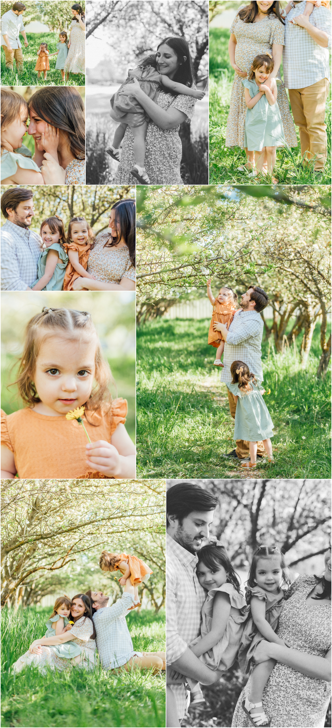 Family Mini Session Photography - Provo Spring Blossoms