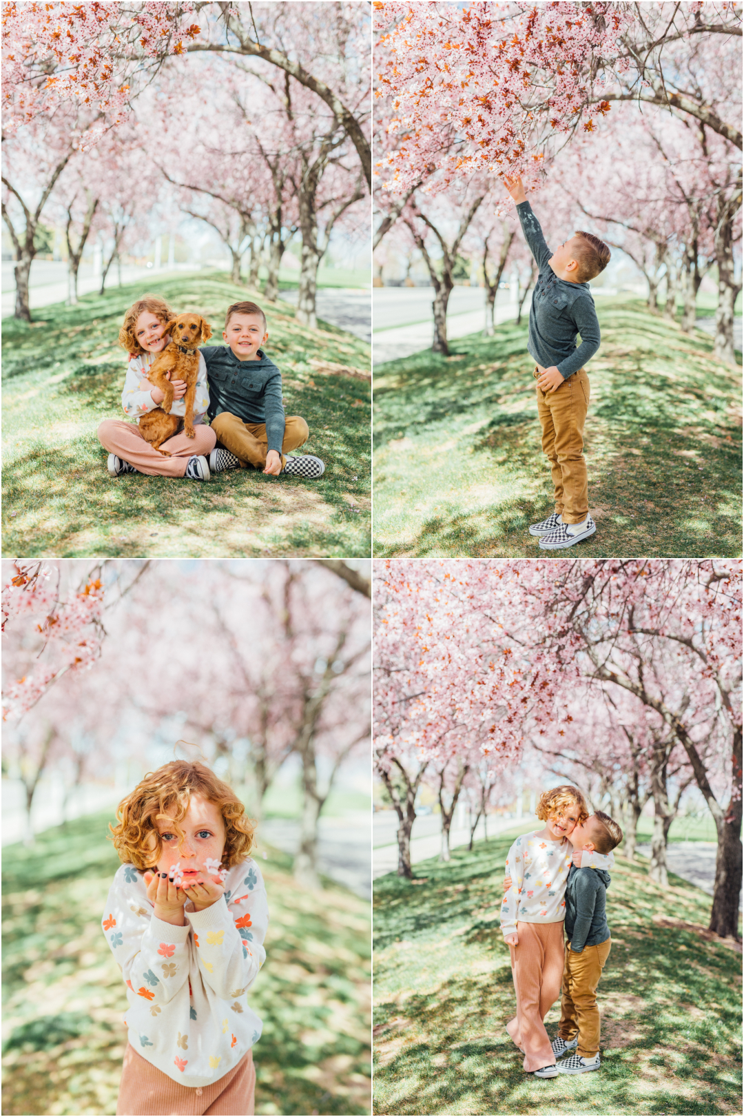 Utah Spring Family Photography Locations in Utah County - Provo Pink Blossoms