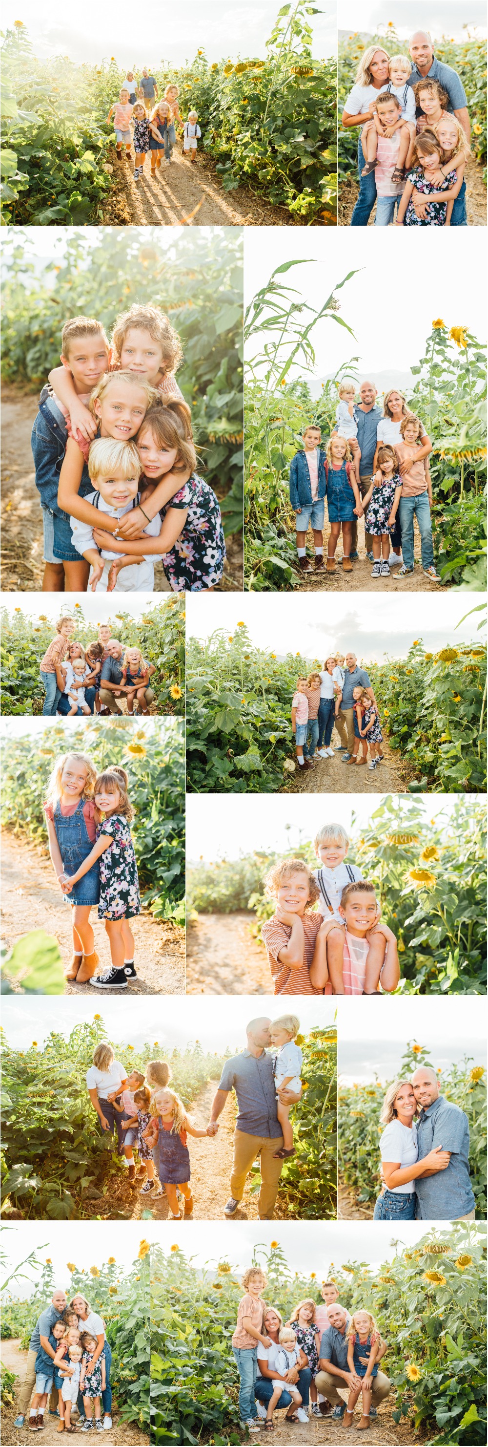 Spanish Fork Sunflower Festival Cornbellys Family Photographer