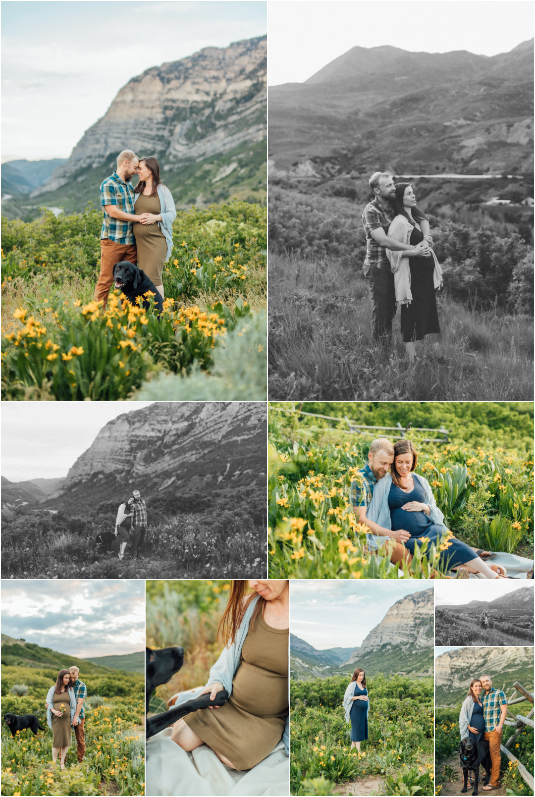 Dog Friendly Photographer in Utah - Spring Wildflower Maternity