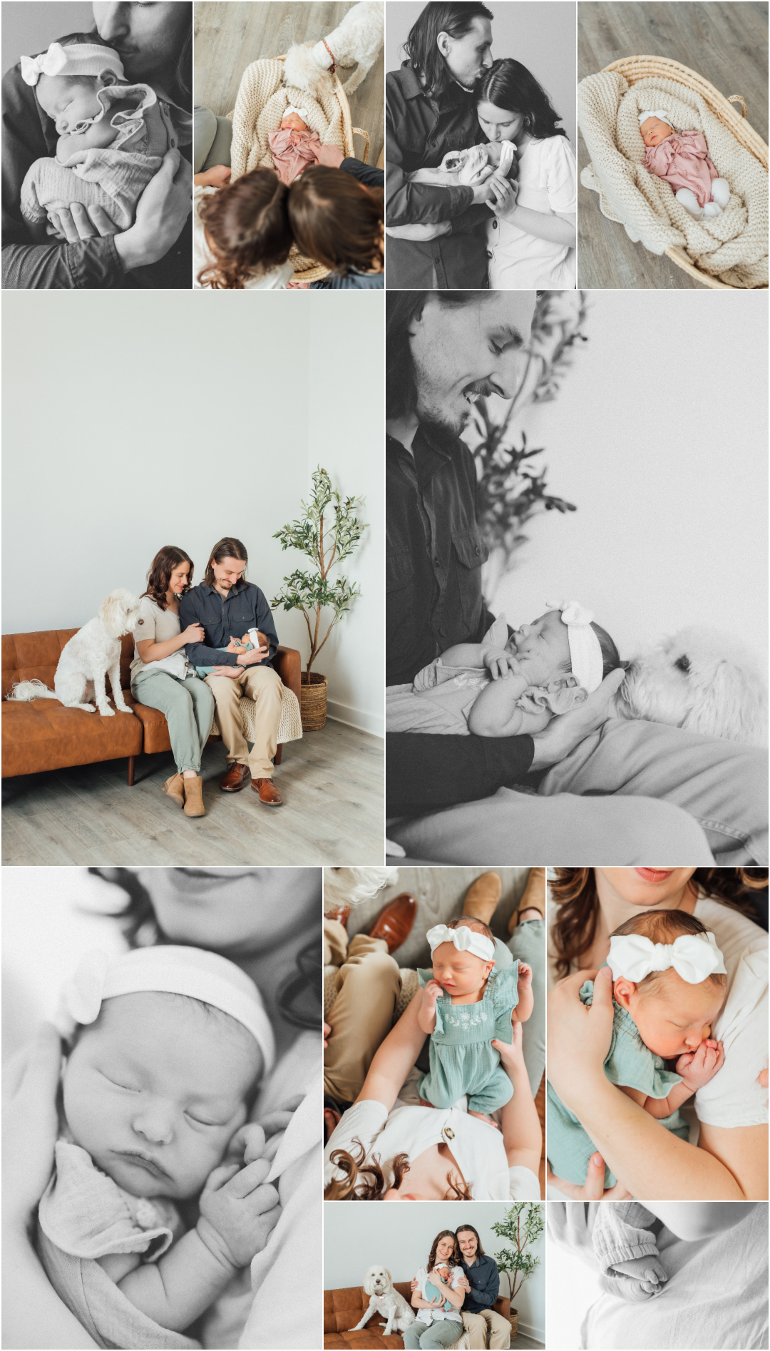 Studio Lifestyle Newborn Photographer - The Alcove Studio in Springville