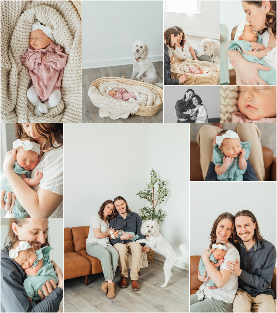 Studio Lifestyle Newborn Photographer - The Alcove Studio in Springville