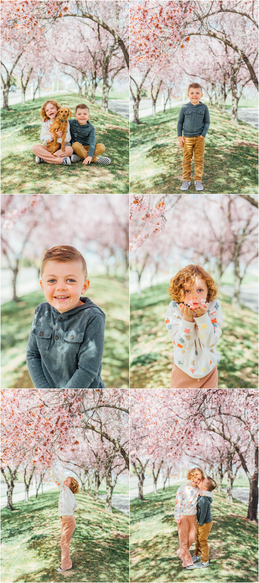 Provo Utah Portrait Photographer