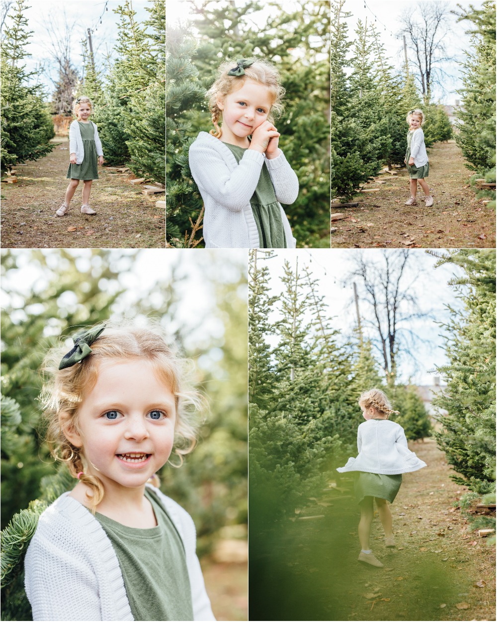 Utah Tree Farm Photographer