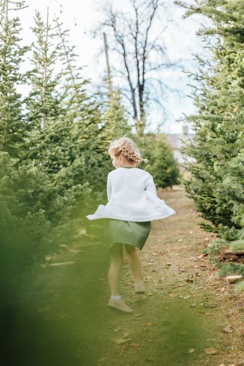Utah Family Photographer